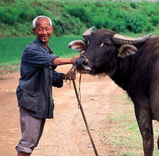 小型飼料顆粒機,農民圓夢(mèng)！